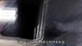 高薪的日本厨师处理金枪鱼，每一刀都是艺术，食客：快加工资