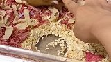 看雪糕把我给它的窝拆了