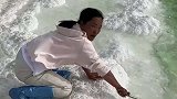 海拔3100米的天然盐湖，提炼出来就是食用藏青盐