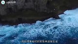 海面漂浮着一个“大气球”渔夫靠近一看，立马逃离