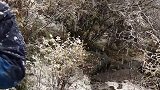 居然下起了鹅毛大雪