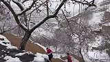 陕西一窑洞人家大雪天办喜酒，寒天冷冻的，去接亲就这样吃一碗面
