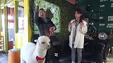 老公说要带去马场策马奔腾，可是到地之后，老婆傻眼了