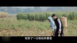 彭昱畅唱伍佰名曲，连连摆手道歉，冰雹突如其来飞沙走石