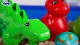 玩五彩模型玩具认识远古恐龙