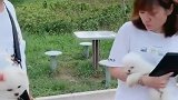 小哥哥打劫第一部