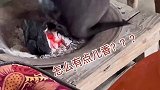 狗子烤火差点把自己烧了