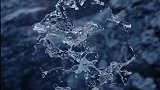 猪八戒跳舞真是舞蹈界的一股清流