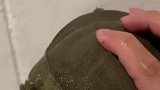 它咬对方头的时候，对方痛还是自己痛