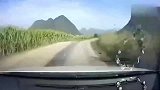 大哥, 你驾照是买的吧, 山路弯道还超车