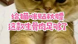 想让猫咪胖乎乎的，就要多吃肉，吃好肉！