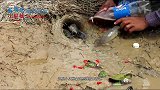 用辣椒炒冰会是什么味道？小伙这碗又甜又辣，引来一批爱尝鲜顾客