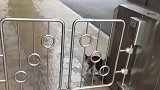 小区道闸神奇小猫经过，瞬间开启