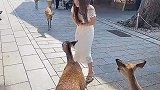 美女被包围，这下该咋办