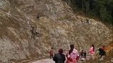 这小羊绝地逃生呀，最后还是没抓住！