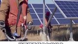 世界的一大难题居然被中国的一群羊解决了！？