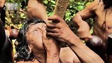 原始部落瓦拉尼人，深入雨林寻觅蜘蛛猴