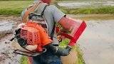 水稻自动抛秧机，这玩意随意抛比插秧好？