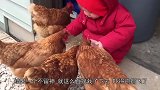 大白鹅欺负狗狗，萌娃看不下去了，打算教训教训大白鹅