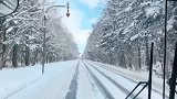 带你去坐一趟最美的公交车