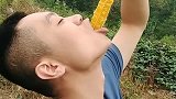 上山去表姐家坐客，看到姐夫一口吞下去的蜂巢，馋得我直流口水