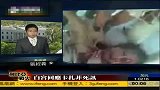 美国国防部回应卡扎菲死讯：仍在确认当中