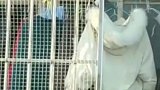 这小机灵从晾衣架上的羽绒服取材
