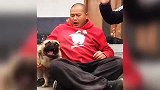 这就是传说中的狗仗人势？狗子：拉住我，我还能吼！