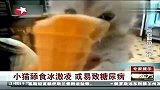 生活-小猫舔食冰激凌.或易致糖尿病