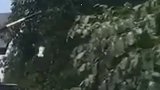 狗子君子报仇一年不晚，今天我就让你好看！