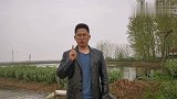 小龙虾五月瘟的克星，乳酸菌发酵最全教程