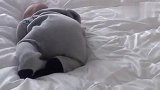 不倒翁宝宝宝宝睡了一觉起来怎么整都坐不稳了