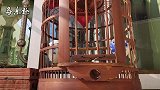 清脆的画眉鸟叫声，洪亮无杂音，婉转多变，歌声迷人