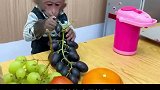 小猴子比比自己榨果汁，仪式感满满创意十足