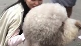 哪个地方的方言啊，小姐姐说的啥咱也听不懂，也不敢问