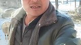 你的舞姿影响到它在羊群的地位了