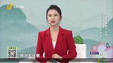 支气管炎三大症状