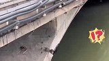 小猫被困桥洞，路人营救险象环生