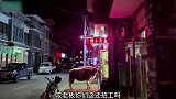 一头牛站在兰州牛肉面馆门口，典型的肉包子打狗有去无回，快跑吧