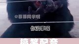猩猩这日子，真没法过了