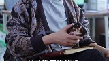 狗吃鸡肝宠物狗