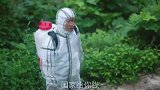 毛孩的演技真好