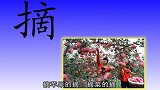 191蔬菜果园第101次收获