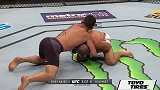 UFC-16年-UFC205自由格斗：阿尔瓦雷斯vs多斯安乔斯-专题