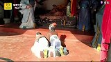白帝城托孤人尽皆知，长江三峡最美的景色，历史文化悠久