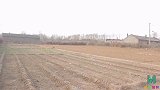 短剧：小伙农家乐吃饭，见样学样喊“随手”，谁想上了一碗抹布