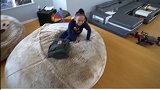 妹妹给哥哥备惊喜