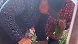 爷爷砍菜根太慢被奶奶嫌弃