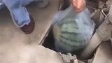 成年人的崩溃就在一瞬间，本想做个冰镇西瓜，没想到是这种结果