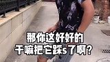 只能跟蚂蚁诉诉苦